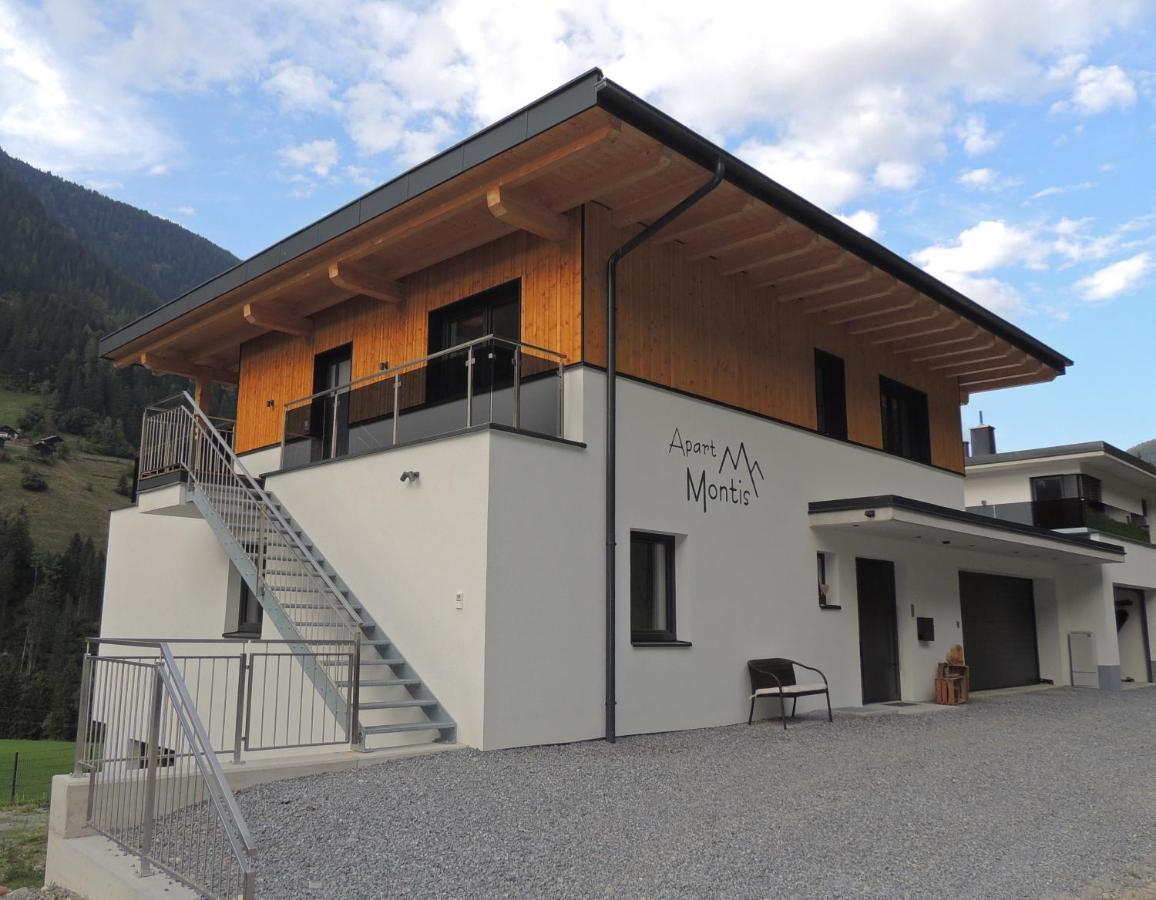 Apartment Montis *